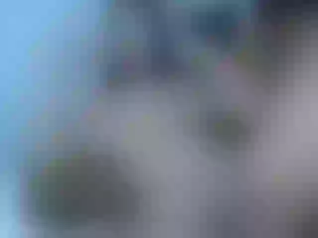 Live sex webcam photo for Paulett #240949696