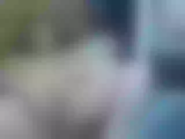 Live sex webcam photo for KendraFerreti #241506673