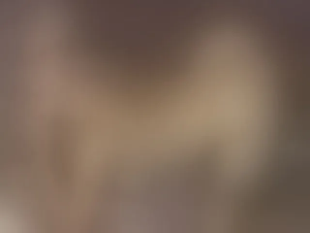 Live sex webcam photo for Xtina_ #262299241