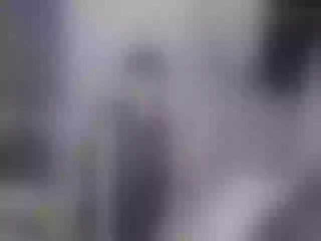 Live sex webcam photo for Bridget_love #254563532