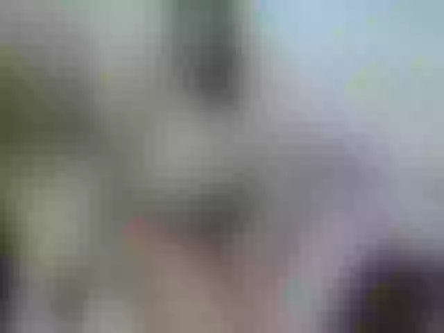 Live sex webcam photo for RockGoddesss #259514425