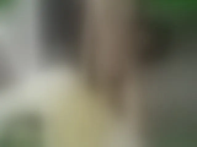 Live sex webcam photo for PureEmanuelle #254618118