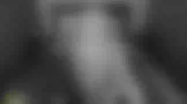 Live sex webcam photo for KimmiBams #245077166