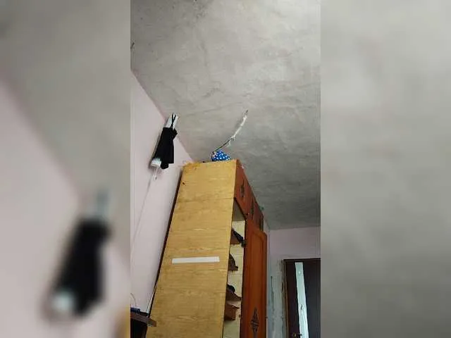 Live sex webcam photo for Ereskigal333 #241425217