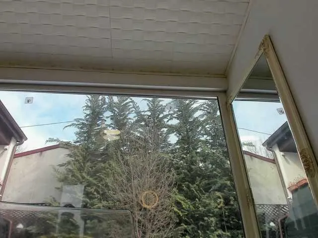 Live sex webcam photo for alishabrooks #241210373