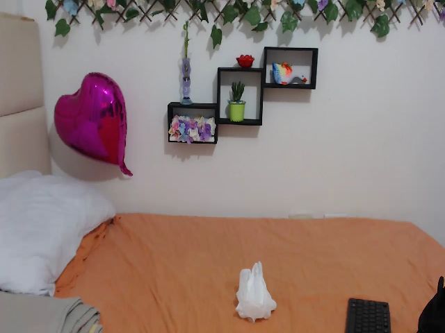 Live sex webcam photo for sofia_blake_ #255582547