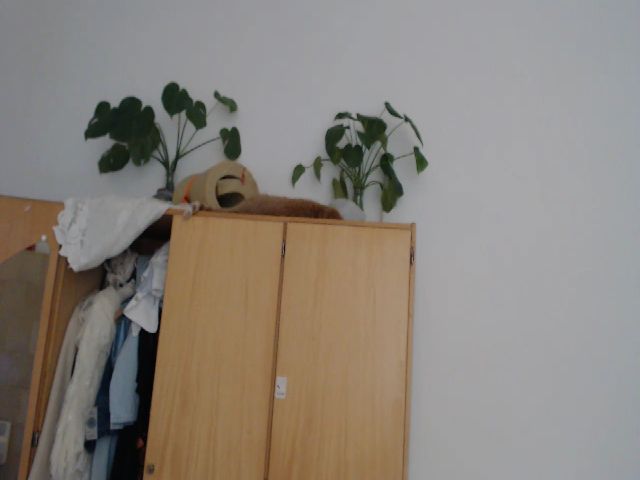 Live sex webcam photo for PetitePinkie #263363435