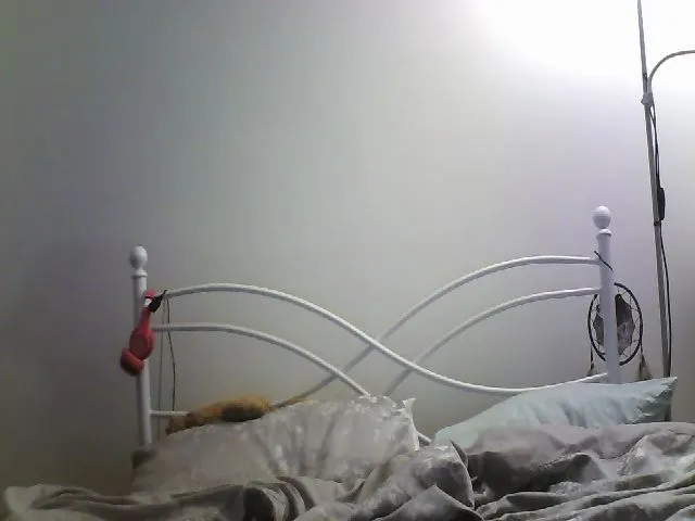 Live sex webcam photo for DeepScarlett #257088461