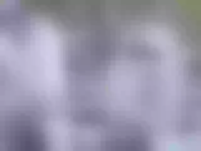 Live sex webcam photo for Siberia-Taiga #287988931