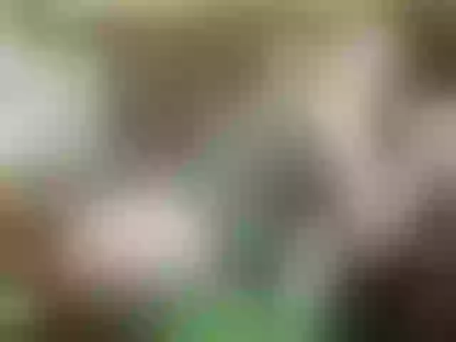 Live sex webcam photo for alisablond #241237891