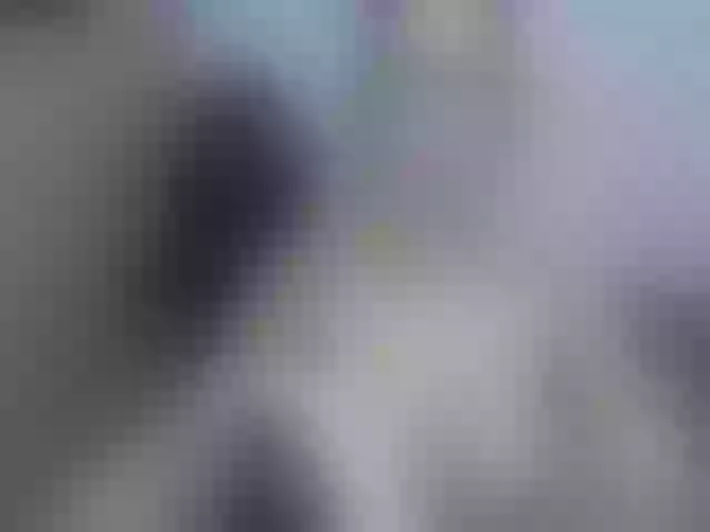 Live sex webcam photo for Kmipearl #264368146