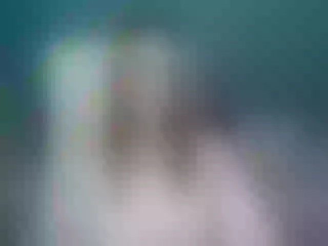 Live sex webcam photo for EmmaBryan #241225531