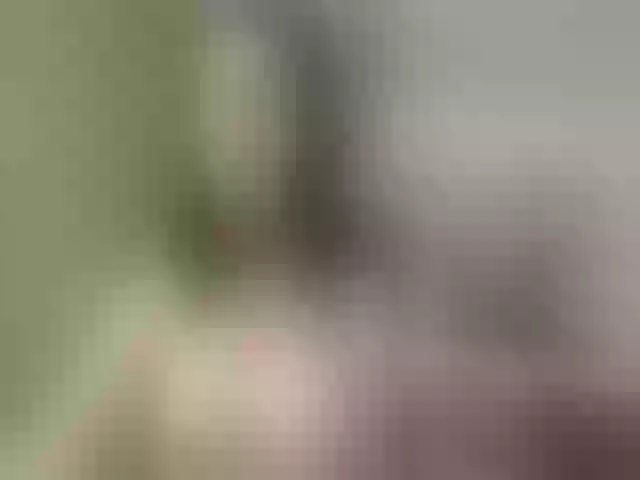 Live sex webcam photo for Evelynevi #253273885