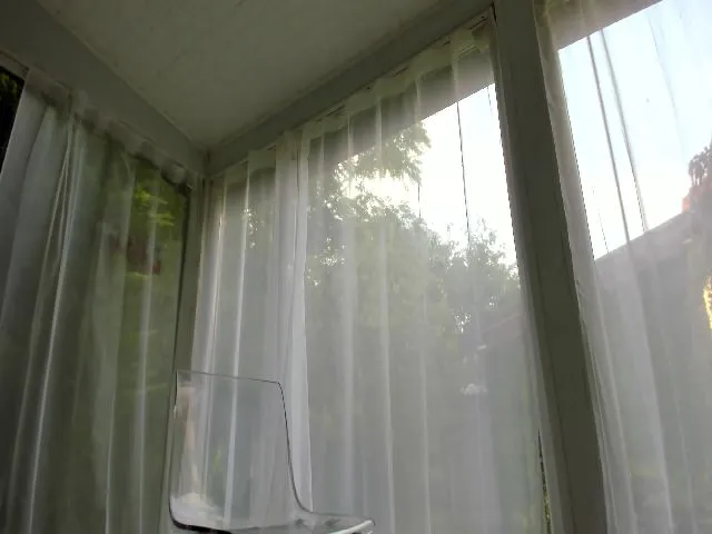Live sex webcam photo for BritneyMeyers #256686737