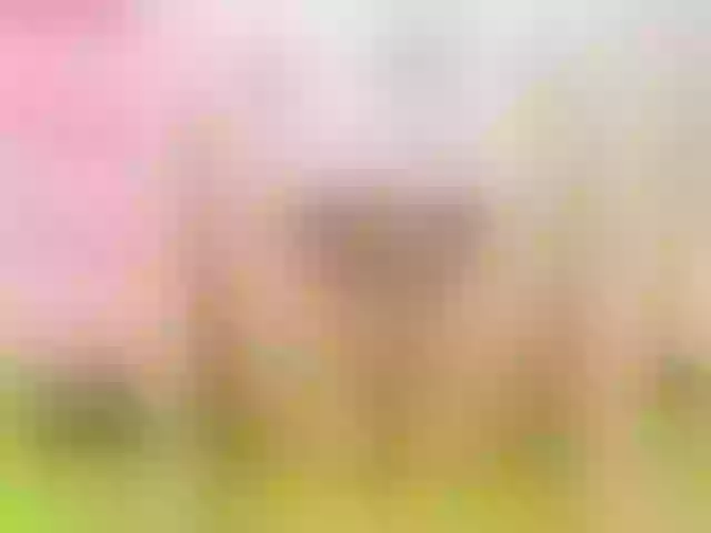 Live sex webcam photo for Hhalaa_ #265321038