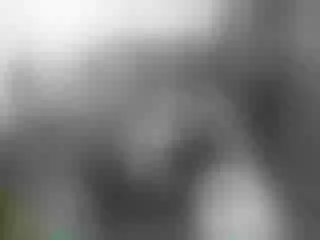 Live sex webcam photo for Oldslyfoxi #252727873