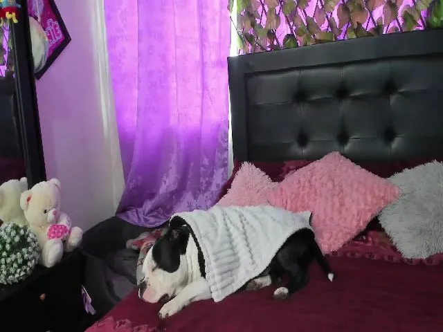 Live sex webcam photo for Holly_rosee #255384388