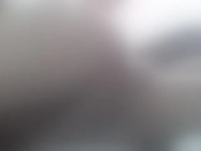 Live sex webcam photo for fox-seks #241382746