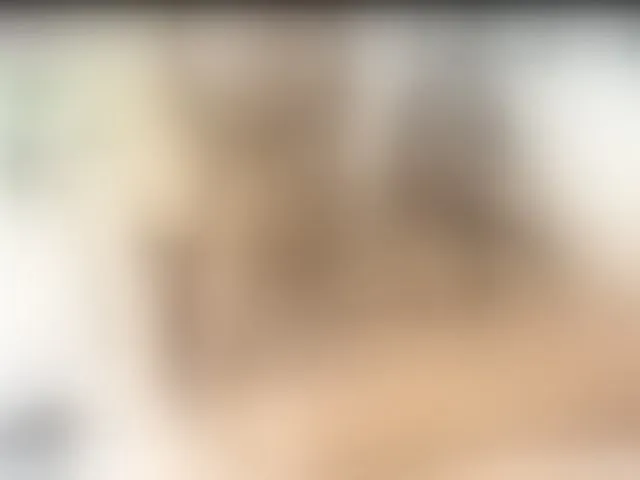 Live sex webcam photo for EbonnyLatinx #287992627