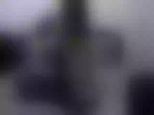 Live sex webcam photo for Relaxinka777 #256074448