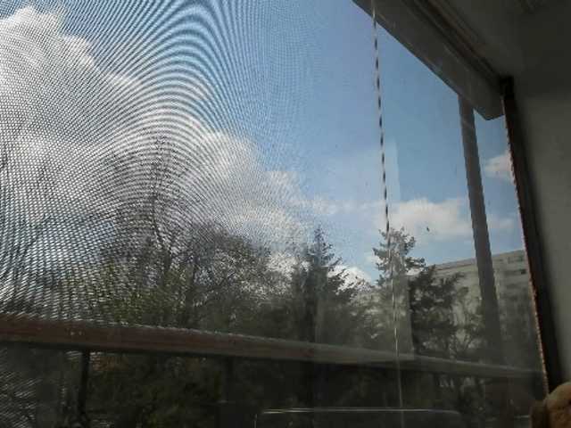 Live sex webcam photo for MissAriana #241339795