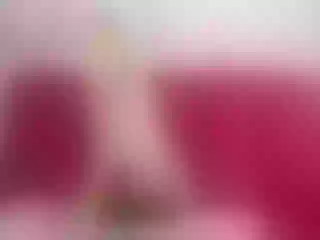 Live sex webcam photo for Lerry_Teen #263454890