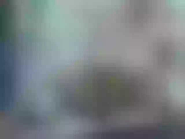 Live sex webcam photo for kattty1 #241418690