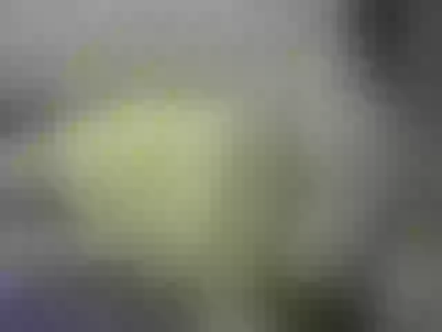 Live sex webcam photo for Misskristina #240947014