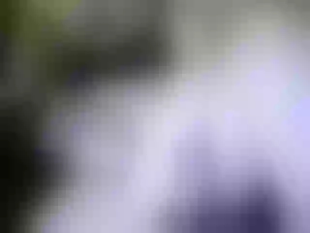 Live sex webcam photo for marusa0 #241132129