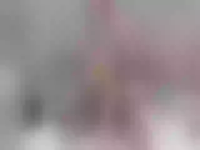 Live sex webcam photo for LauraCrystall #259449535
