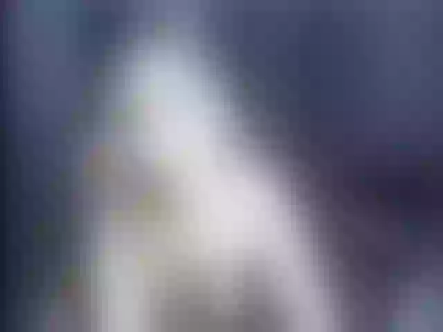 Live sex webcam photo for Ellaquality #252790992