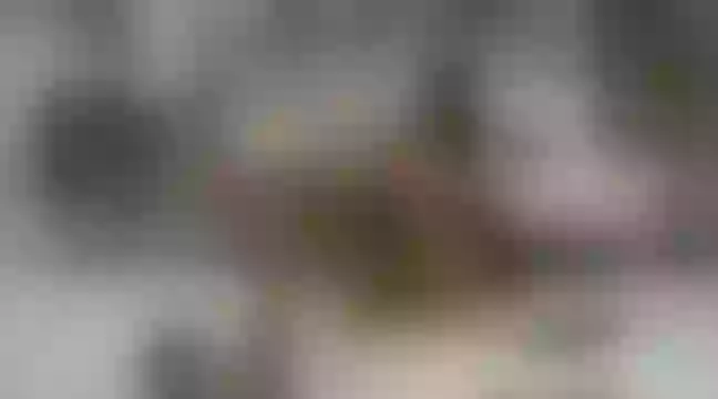 Live sex webcam photo for ValeryPierr #245031508