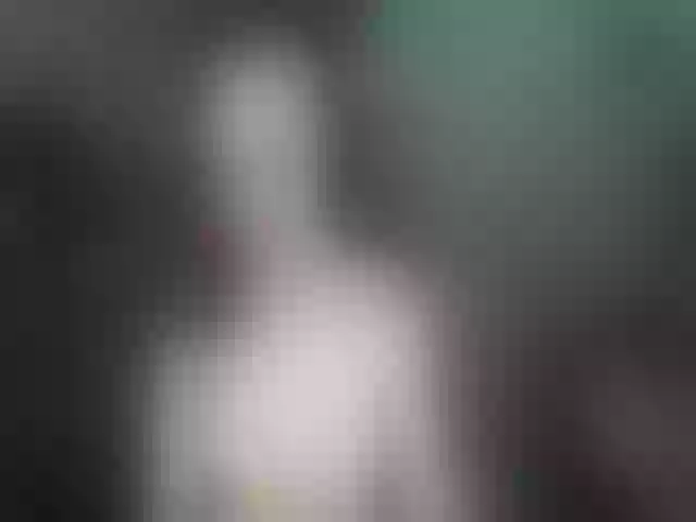 Live sex webcam photo for KateGreen #262531821