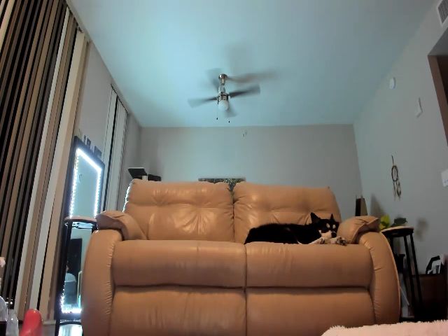 Live sex webcam photo for Belphoebe #252755288