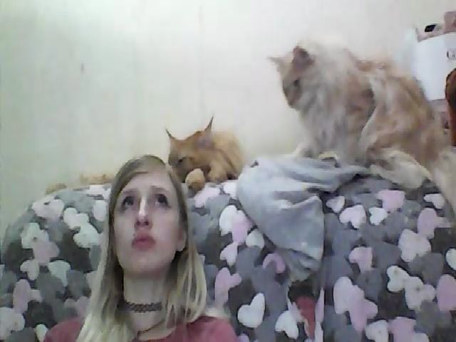 Live sex webcam photo for GuiltyKitty #263698482