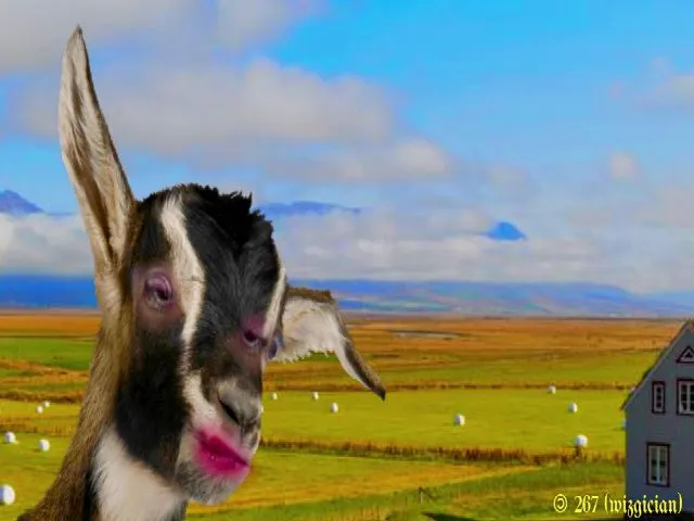 Live sex webcam photo for MinnieMoralia #254302838