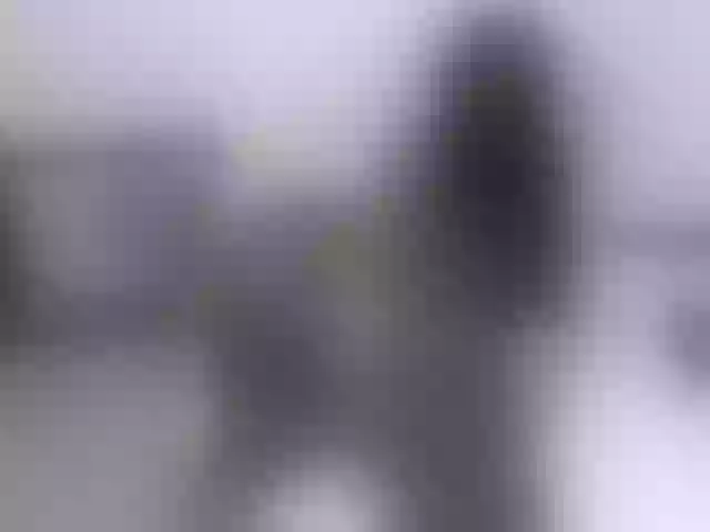 Live sex webcam photo for Leidysautss #265011071