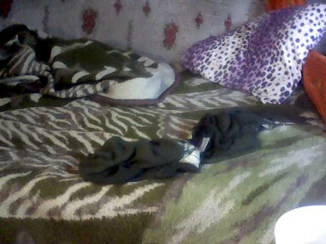 Live sex webcam photo for LanaDeloias #250603707