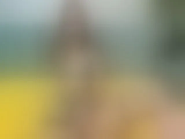Live sex webcam photo for VirginAlice #258012960