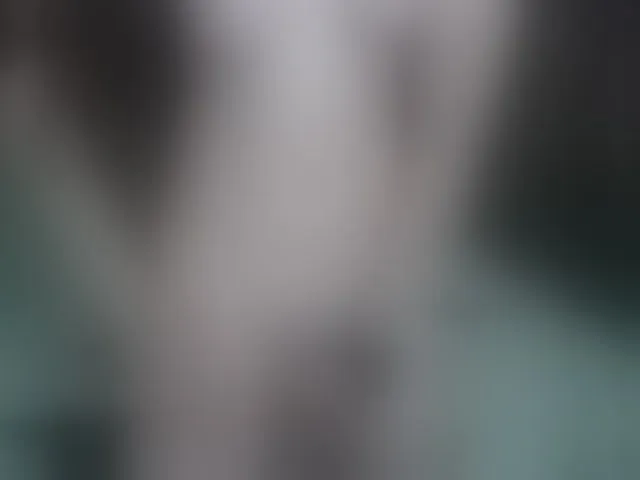 Live sex webcam photo for FoxyHard #255940641