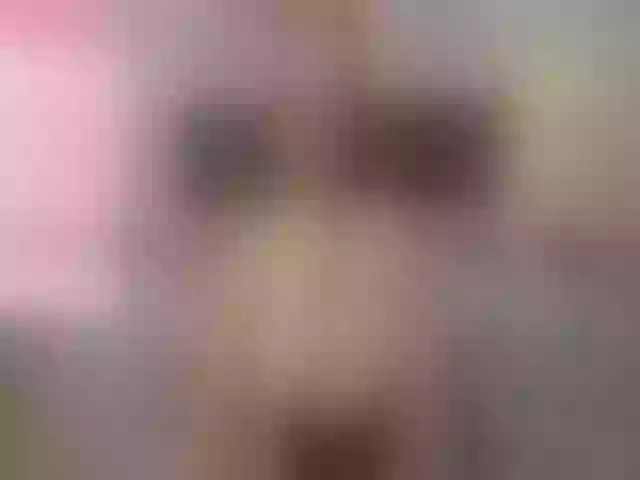Live sex webcam photo for Hhalaa_ #262602616