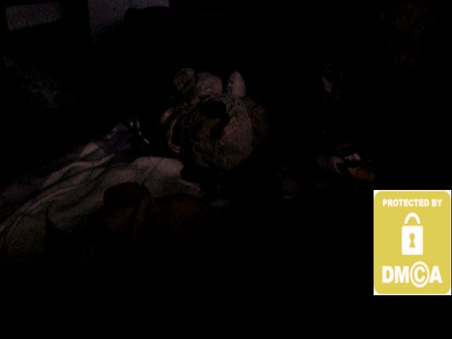 Live sex webcam photo for JessyAnal4U #264619999