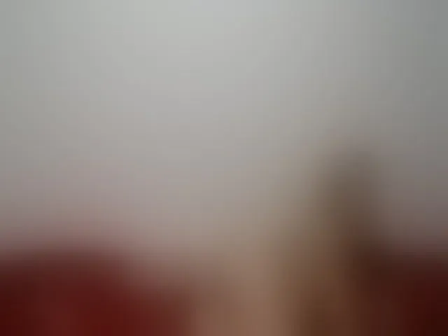 Live sex webcam photo for WildLadyHawke #261971997
