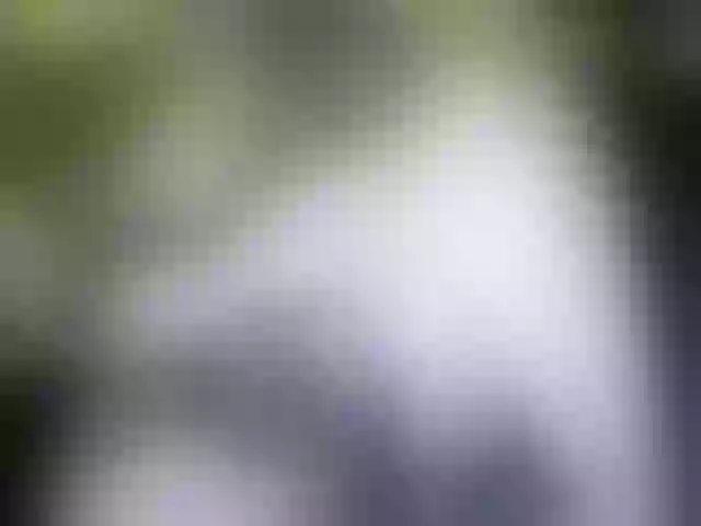 Live sex webcam photo for marusa0 #241289260