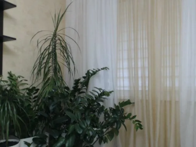 Live sex webcam photo for Mariskakiska #256267590