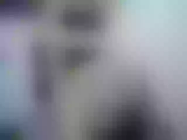 Live sex webcam photo for Anttonella_2 #258447382