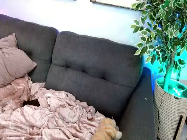 Live sex webcam photo for LilSadie #259110989