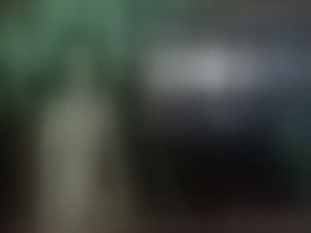 Live sex webcam photo for EmberBurns #261192974