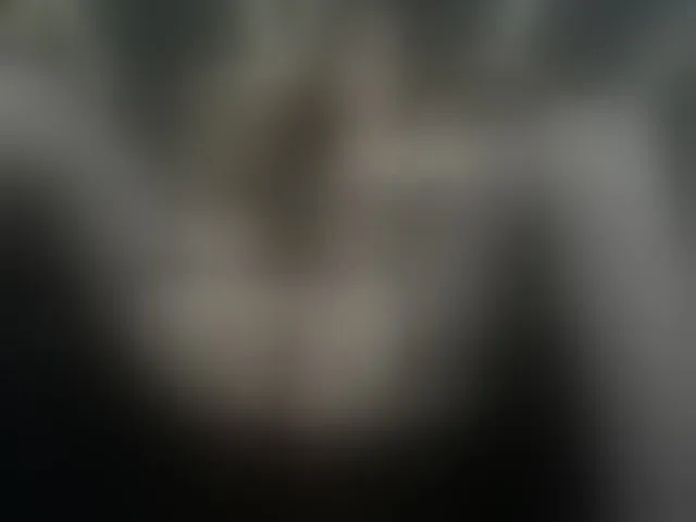Live sex webcam photo for AliciaKennet #248098477