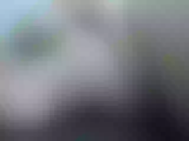 Live sex webcam photo for Merida_blue #254443352